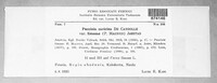 Puccinia caricina var. limosae image